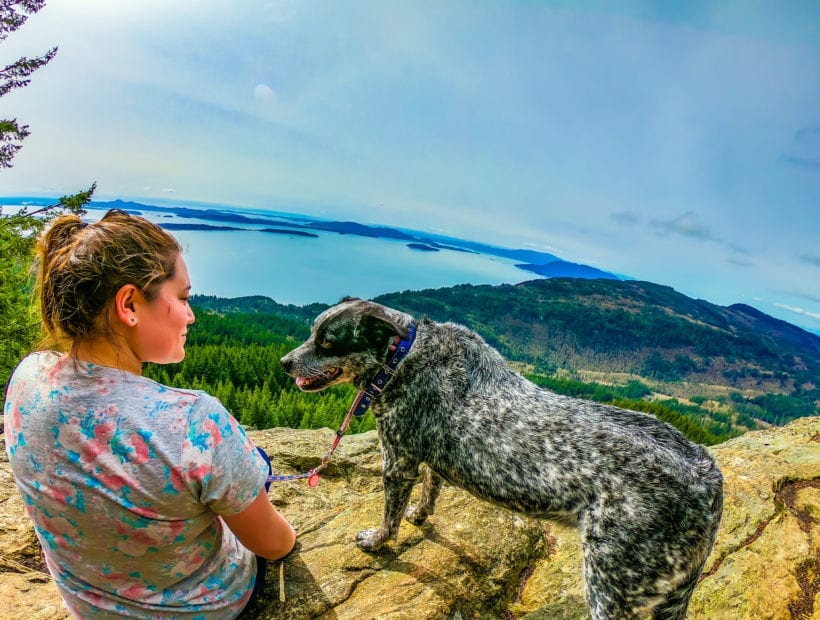 tnaa travel nurse and her dog adventure across the country