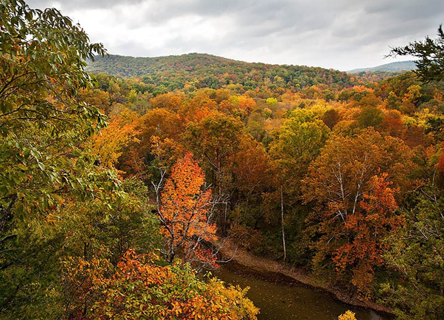 View this job in Arkansas