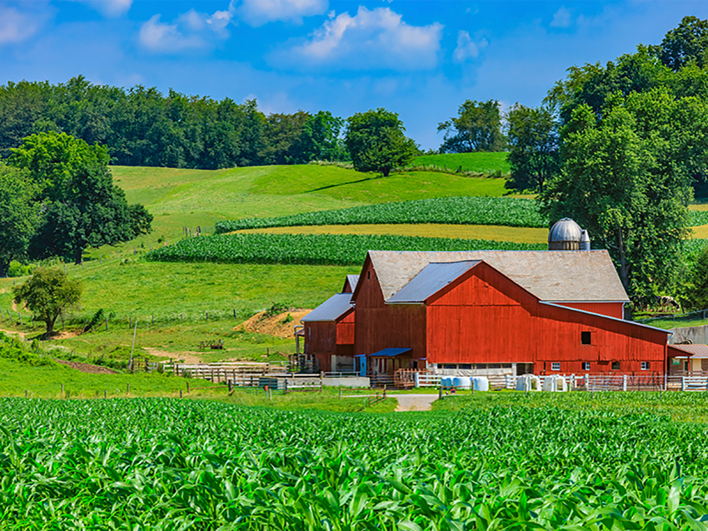 Travel Nursing Jobs in Ohio | TNAA