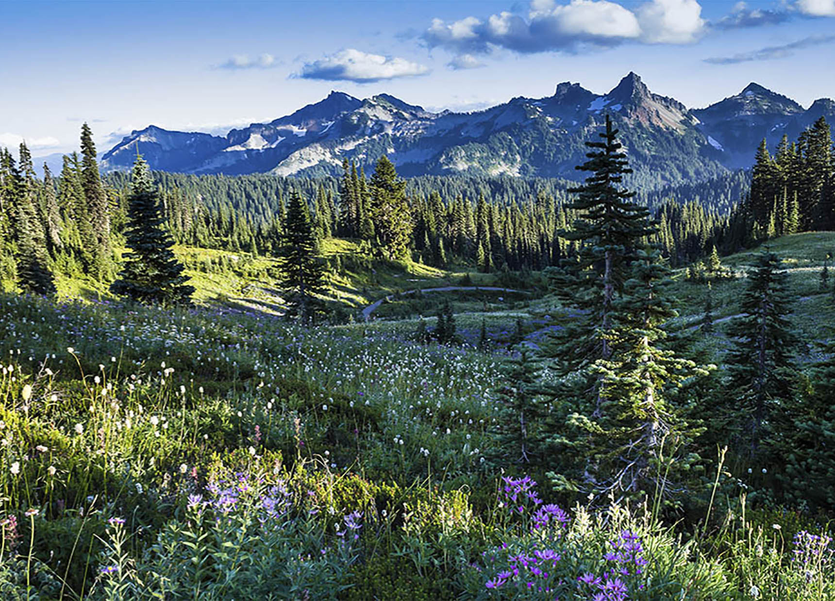 View this job in Washington