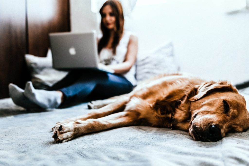 pet friendly travel nurse housing