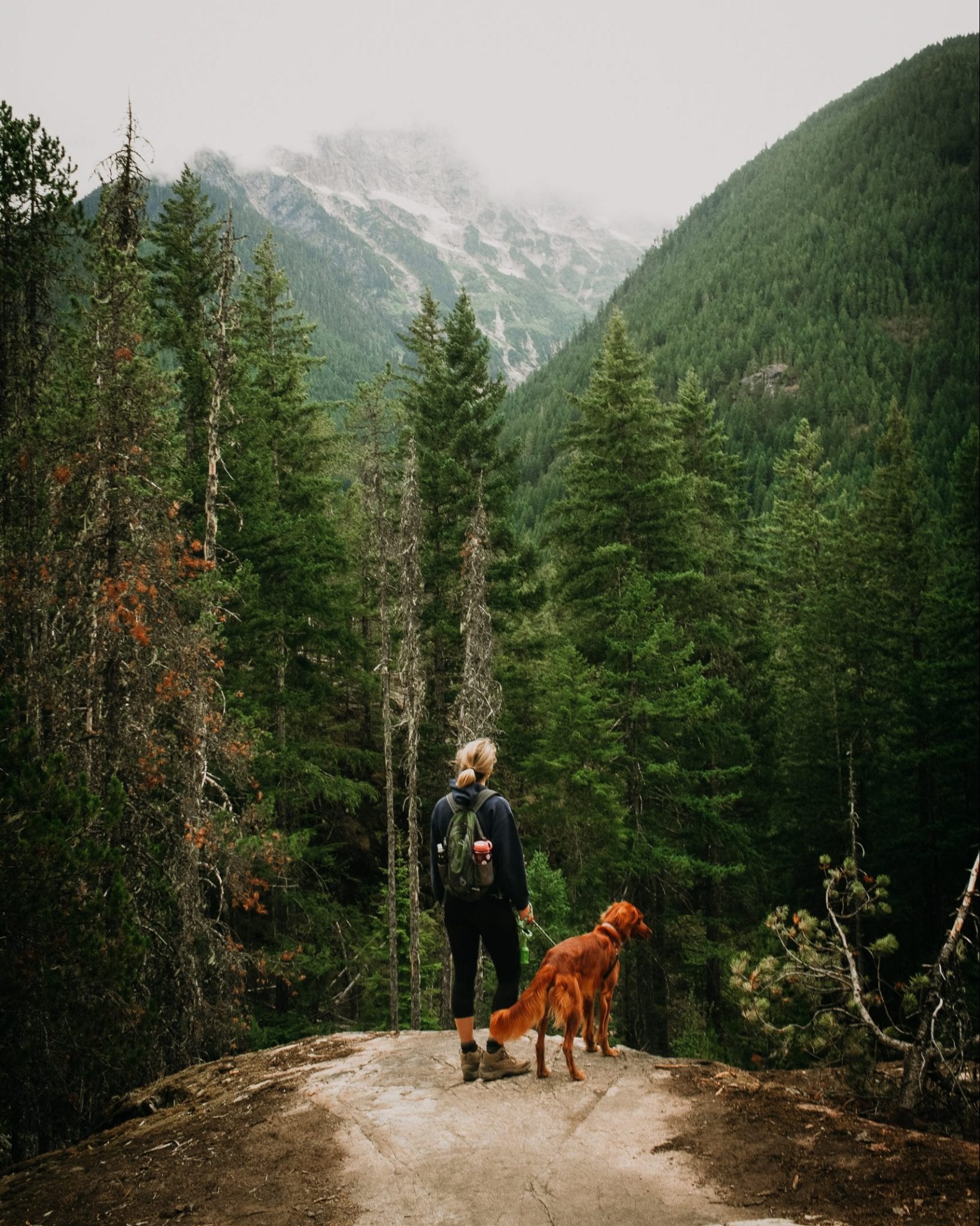 Traveler Guide to Dog-Friendly Hikes in the PNW | TNAA