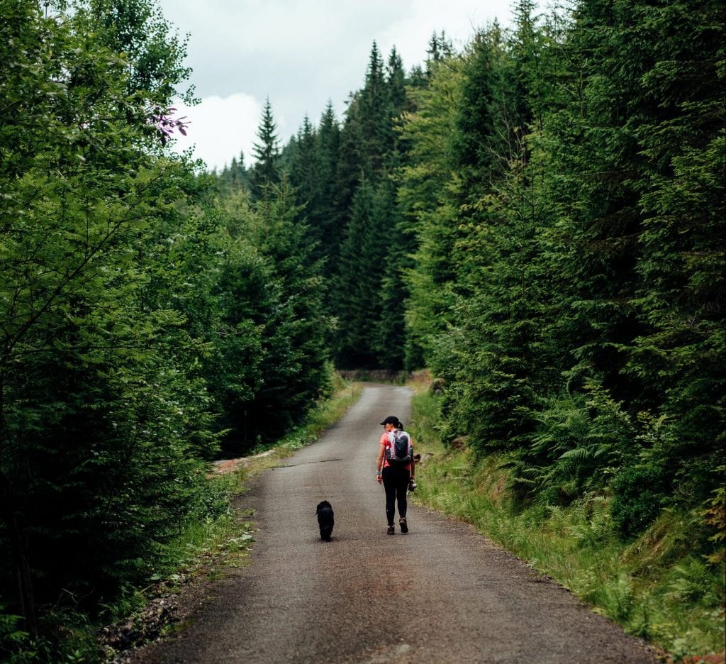 travel nurse hiking with dog