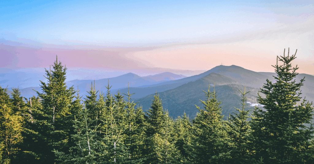 travel nurse assignment North Carolina