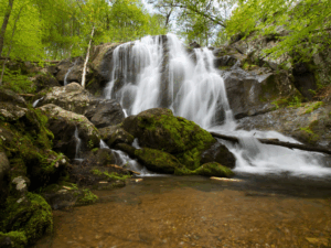 travel nurse assignment North Carolina