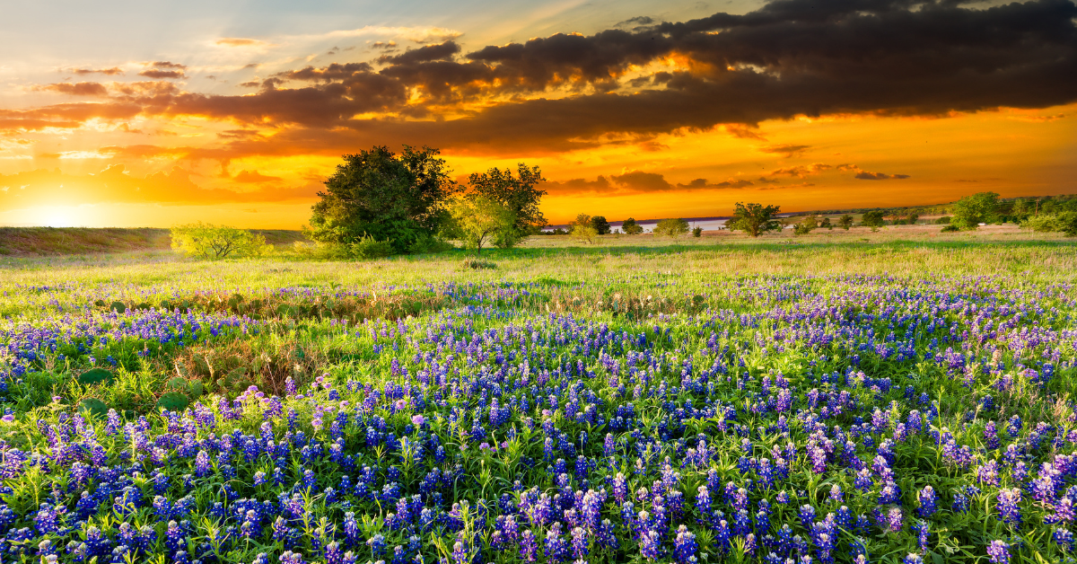 Top Travel Nurse Destinations for April