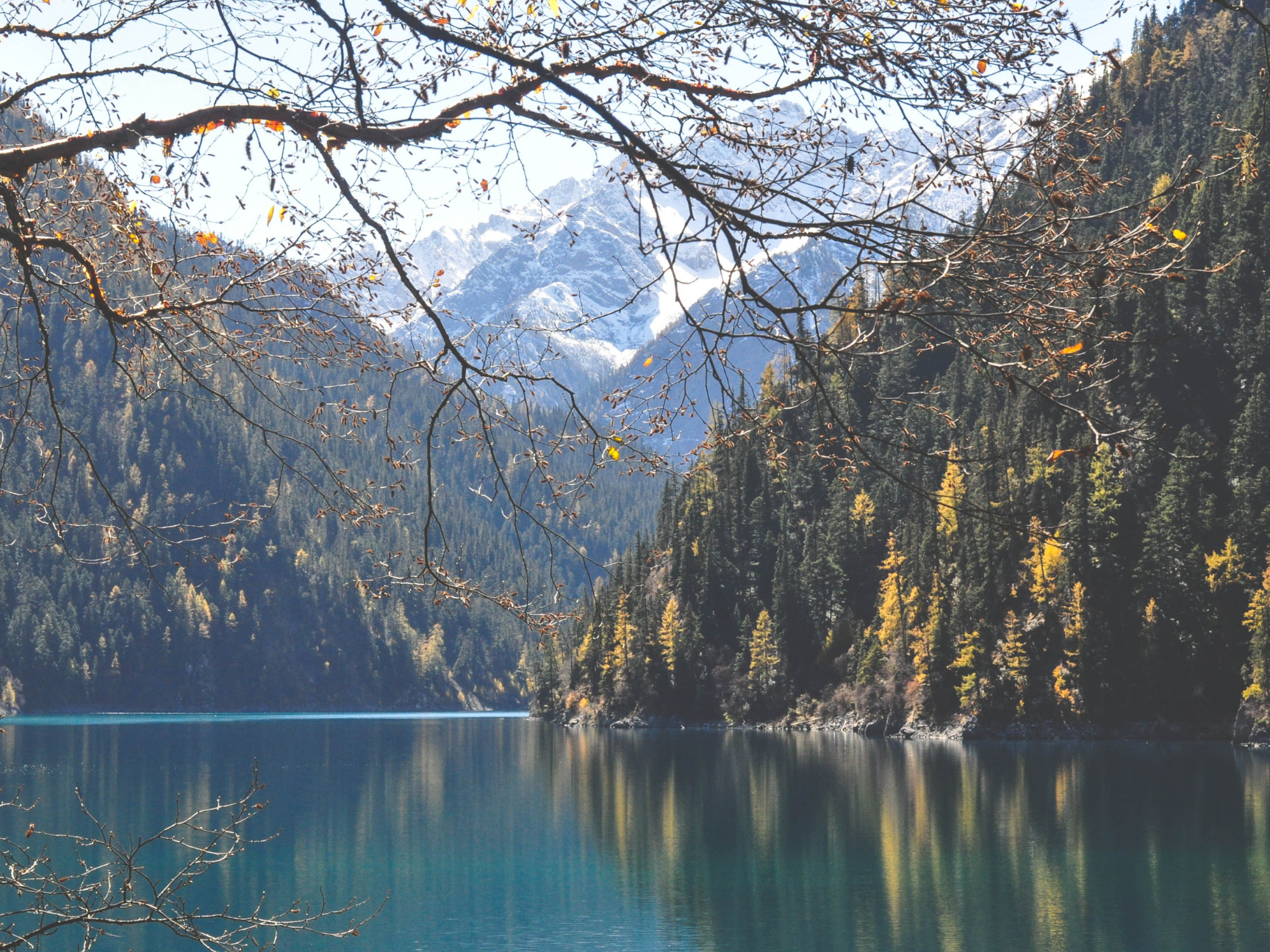 travel healthcare agency