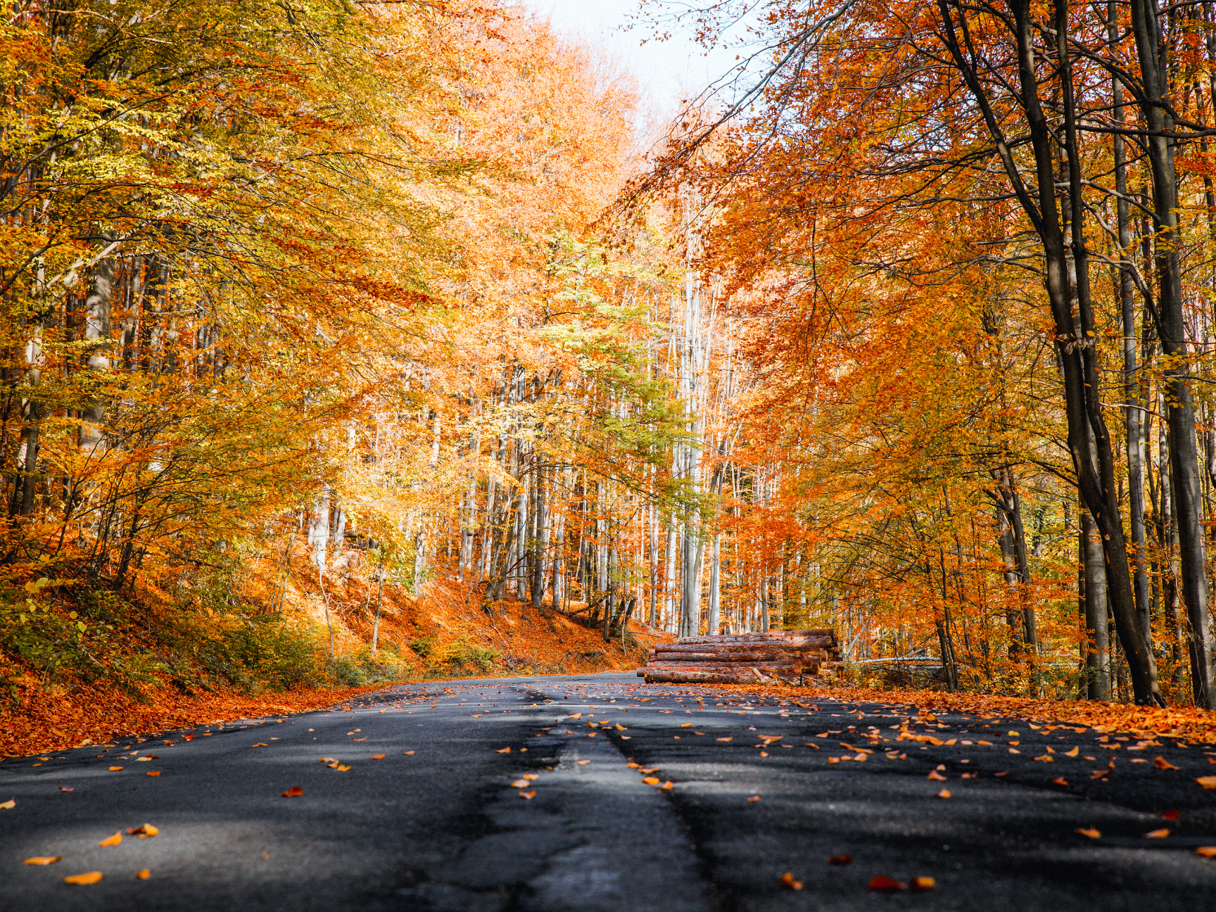 fall travel healthcare contracts